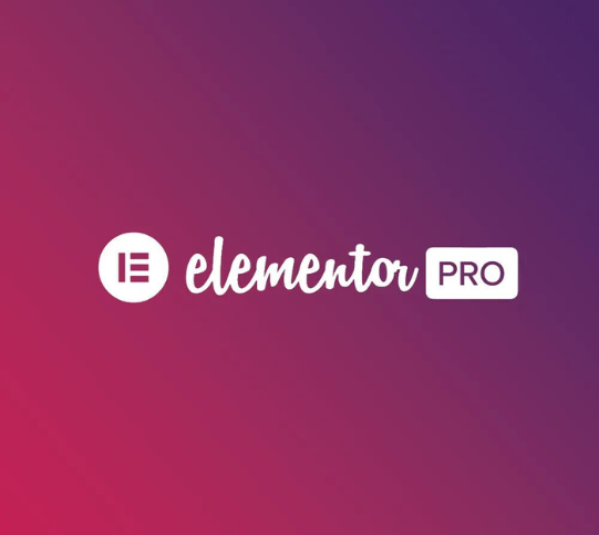 Elementor Pro Plugin